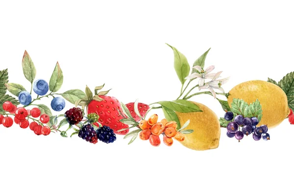 손으로 그리는 과일 그림이 그려진 아름다운 미풍없는 열매 무늬. 주식 삽화. — 스톡 사진