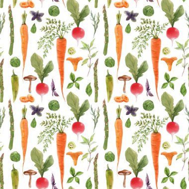 Suluboya elle çizilmiş sebzeli güzel, pürüzsüz bir desen. Stok çizimi. Sağlıklı gıda tablosu.
