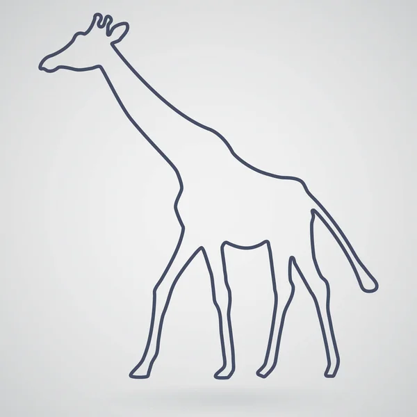 Silhouet van een giraffe, oftewel, wordt afgebeeld op een licht grijs b — Stockvector