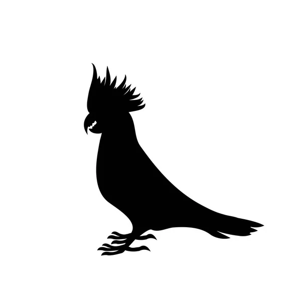 Black silhouette of a big cockatoo parrot on a white background. — Stock Vector