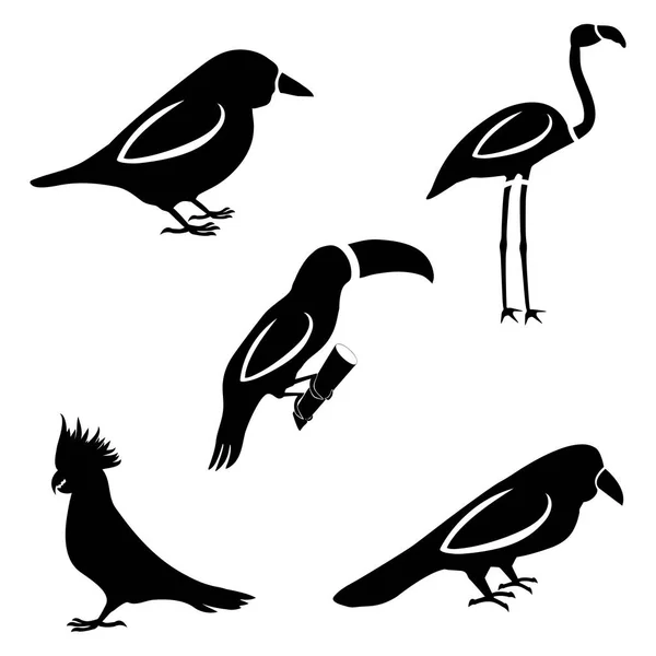 Een set van vijf vogels. Silhouetten van een mus, toekans, papegaaien, c Stockillustratie