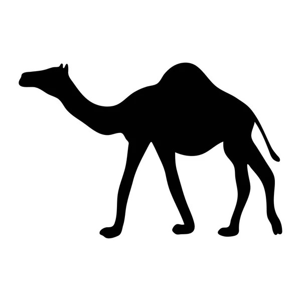 Schwarze Silhouette eines Kamels auf weißem Hintergrund — Stockvektor