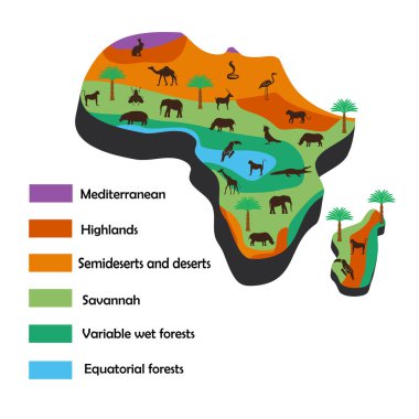 Infographics tasvir Afrika doğal iklim bölgeleri ve