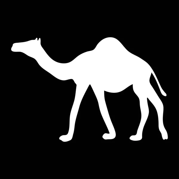 Weiße Silhouette eines wandernden Kamels auf schwarzem Hintergrund — Stockvektor