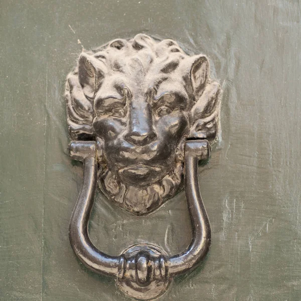 Bonito frisado detalhe em forma de leão de metal e uma porta velha — Fotografia de Stock