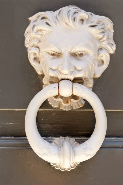 Detalhe em relevo de metal na forma de uma cabeça e uma porta velha — Fotografia de Stock