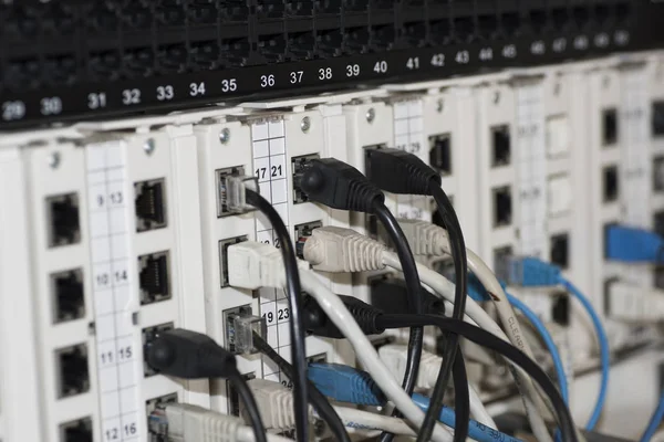 Switch Jaringan Ethernet dengan kabel ethernet — Stok Foto