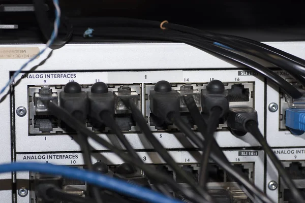 Switch Jaringan Ethernet Dengan Kabel Ethernet — Stok Foto