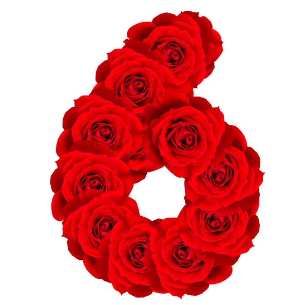 Rose rosse numeri 1 fatta da fiore rosa rossa isolata su sfondo bianco — Foto Stock