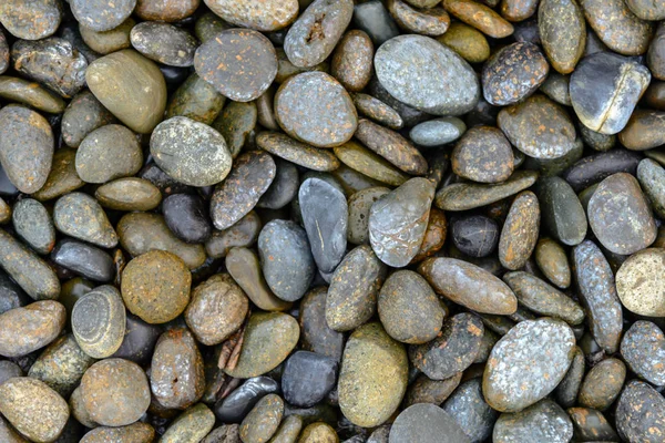Kieselsteine auf dem Boden, Hintergrund — Stockfoto