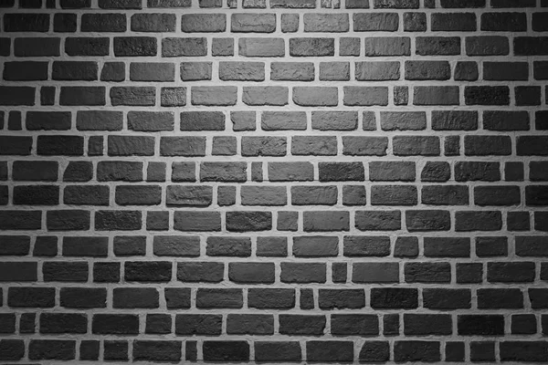 Mattoni sfondo muro. Colore bianco e nero — Foto Stock