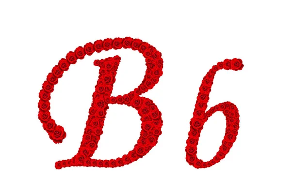 Alfabeto rosa - alfabeto lettere B e b a base di rosa rossa bloss — Foto Stock
