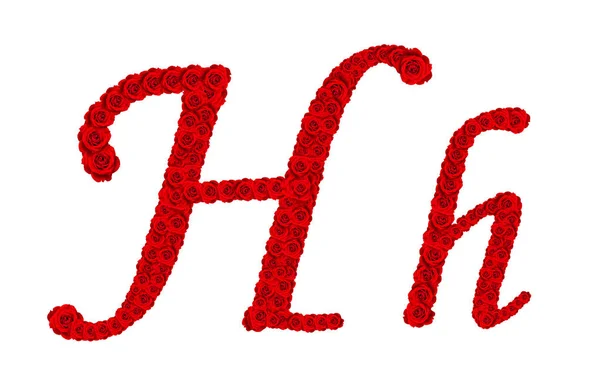 Gül alfabesi - alfabe harfi H ve h kırmızı gül bloss yapılan — Stok fotoğraf