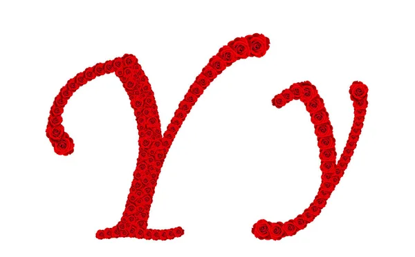 玫瑰字母表的字母 Y 和 y 由红玫瑰劳斯 — 图库照片