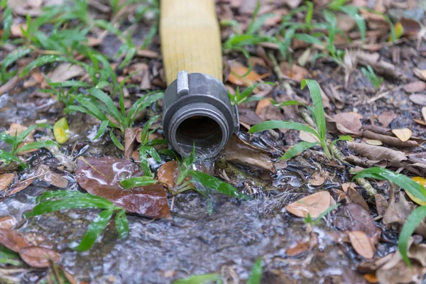 Fire hose on the ground after use — Stock Photo, Image