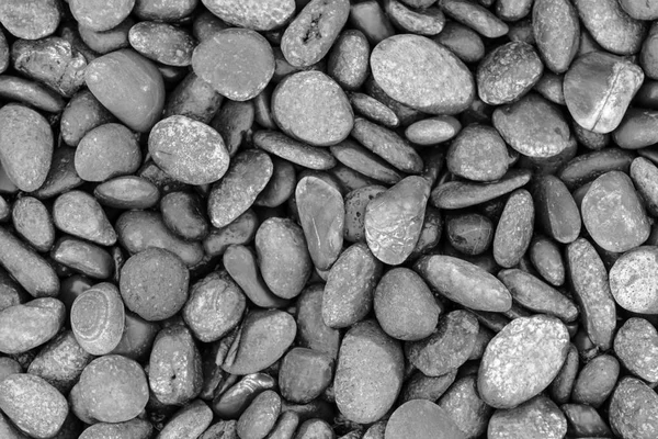 Kieselsteine auf dem Boden, Hintergrund — Stockfoto