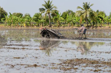 Tayland pirinç alanında Tiller traktör kullanarak çiftçi