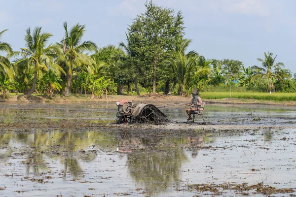 Farmer using tiller tractor in rice field in Thailand — Stock Photo, Image