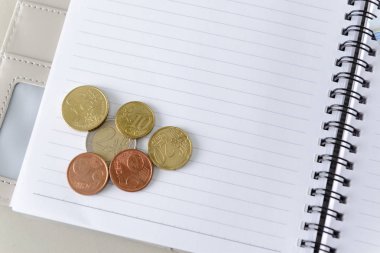 Para euro coins dizüstü