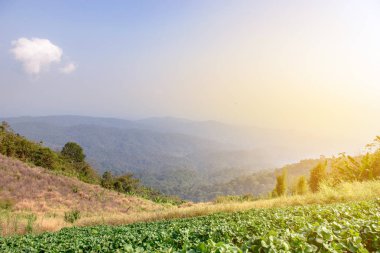 panoramik manzaralı Tayland - doğa arka planları