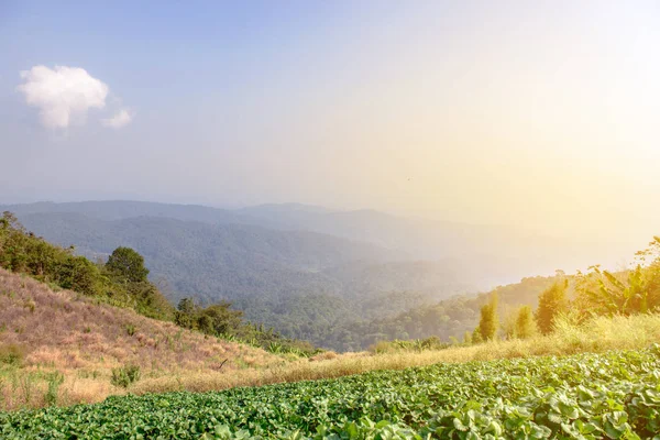 Panoramic mountain view in Thailand - Nature backgrounds — Stock Photo, Image