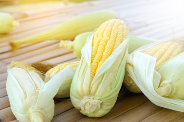 Taze mısır koçanı rustik ahşap üzerinde üzerinde