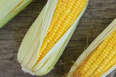 Taze mısır koçanı üzerinde rustik ahşap üzerinde yukarıdan