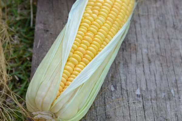 Top view of fresh corn on cobs on rustic wooden with Copyspace — Stock Photo, Image