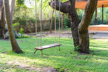 bahçede güneş ışığı ile büyük bir ağaca asılı boş ahşap salıncak