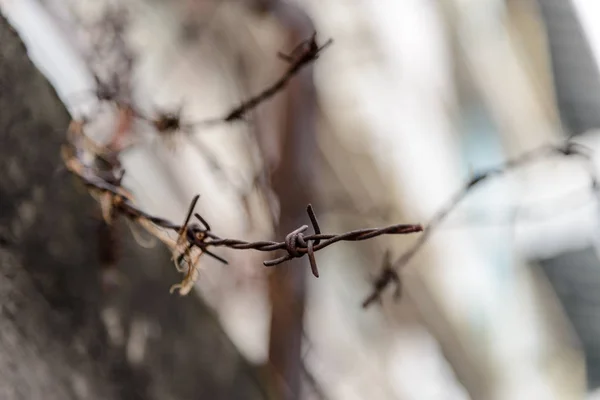 Falta de valla de alambre de púas - símbolo de peligro — Foto de Stock