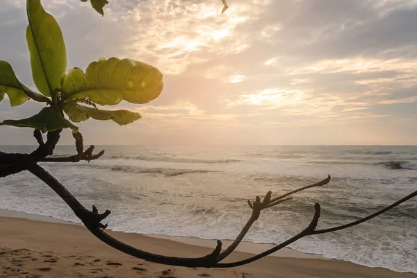 Landscape of tropical beach nature and clouds on horizon in Thailand. Summer relax outdoor concept. — Stock Photo, Image