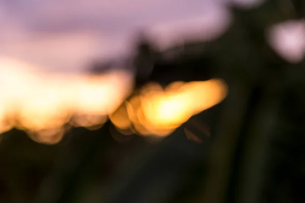 Abstract wazig van zonsondergang natuur achtergronden — Stockfoto