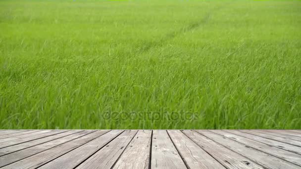 米の茎が風に揺れる風景と木の床 — ストック動画