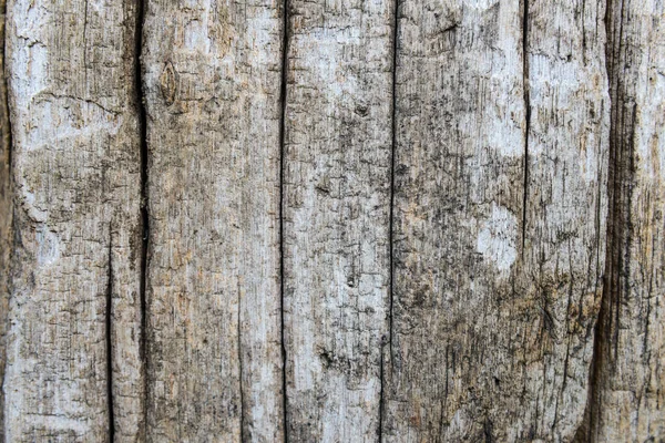 Old cracked wood grain texture background — Stock Photo, Image