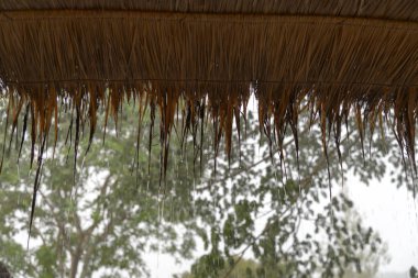 yağmur Streams thatched at. doğal malzemeler çatı