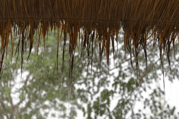 Des ruisseaux de pluie tombent du toit de chaume. matériaux naturels toit — Photo