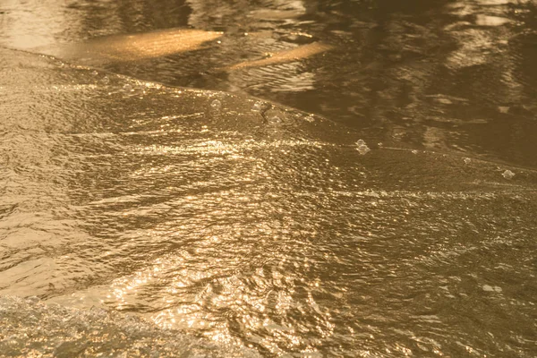 Golden light reflecting off a water wave at the sea and sand on sunset. Pure Gold Tone — Stock Photo, Image