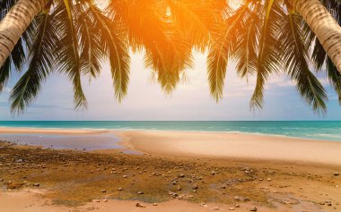 Tayland palmiye ağaçları ile güzel plaj ve tropikal deniz. Yaz dinlenmek açık konsept