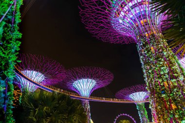 Singapur - 19 Aralık 2019: Gece Supertree Grove 'un gece manzarası, Singapur körfezindeki bahçe. 
