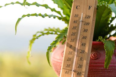 Açık hava ahşap termometresi Celsius ve fahrenheit ölçeğinde kalibre edilmiş 15 derece veya 60 derece fahrenheit manzaralı teras manzaralı