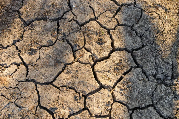 Draufsicht Auf Rissigen Trockenen Boden Naturtextur Aus Rissiger Trockener Erde — Stockfoto