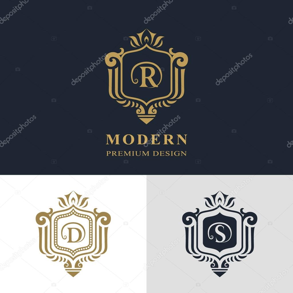 Monogram design elements, graceful template. Calligraphic elegant line art logo design. Letter emblem sign R, D, S for Royalty, business card, Boutique, Hotel, Heraldic, Jewelry. Vector illustration