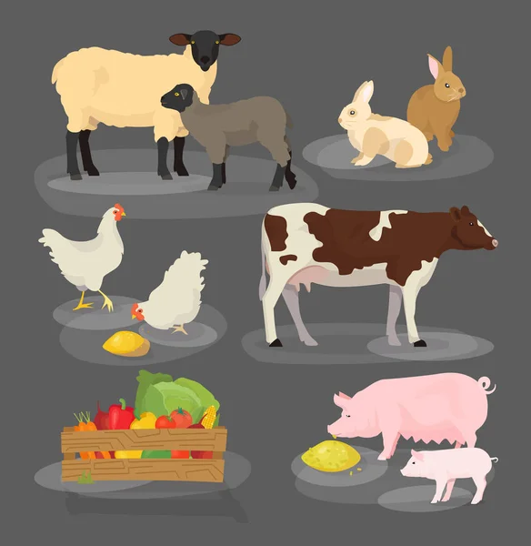 Juego de animales de granja. Dibujos animados hogar icono colección . — Archivo Imágenes Vectoriales