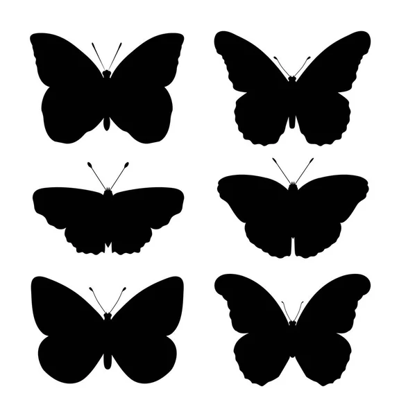Butterflies silhouette isolated on white background set. — Stock Vector