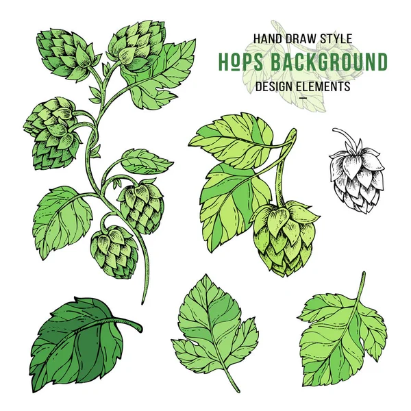 Hopfen in Farbe gesetzt. humulus lupulus Illustration für Verpackung, Muster, Bier Illustration. — Stockvektor