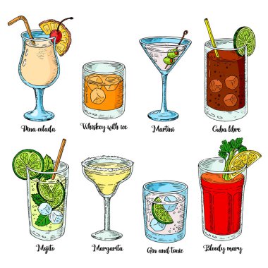 Alkollü içecekler ayarlayın. vektör çizim. Margarita, viski, tekila. Mojito, kanlı mary ve cuba libre.