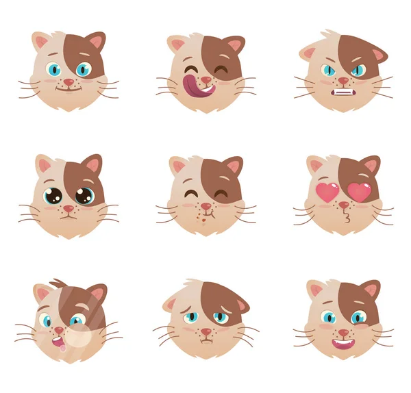 Śliczne koty głowa różne emotikony. Krajowej Pet kotek ikona — Wektor stockowy