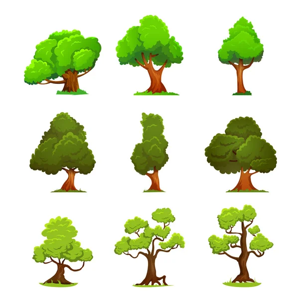 Árvores verdes ilusão isolada em branco. Natureza e ecologia, sinal de crescimento ao ar livre. Árvores caducas —  Vetores de Stock