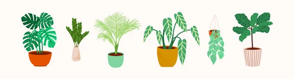Ensemble vectoriel de plantes d'intérieur dans des pots dans un style plat simple . — Image vectorielle