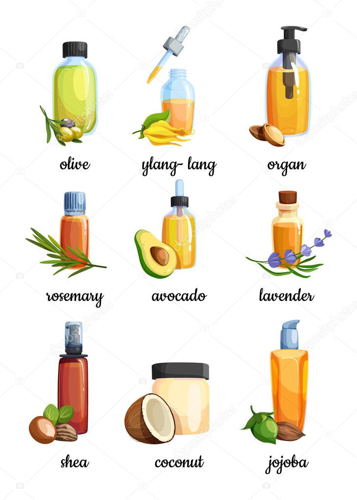 Set of bottles with vegetable and flower, nut vitamin oils. 